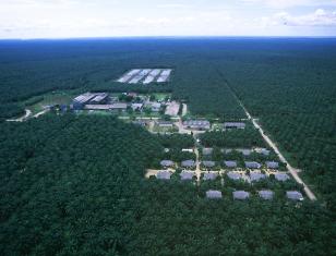 EMP for Palm Oil Mill in Liberia – Golden Veroleum Liberia (GVL)