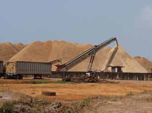 EMP for Wood Chip Production