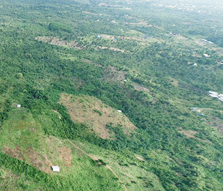 Mining Contribute to Reforestation?