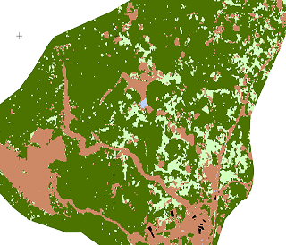 Earthtime Study Reveals Forest Cover Increase Despite Mining Operations